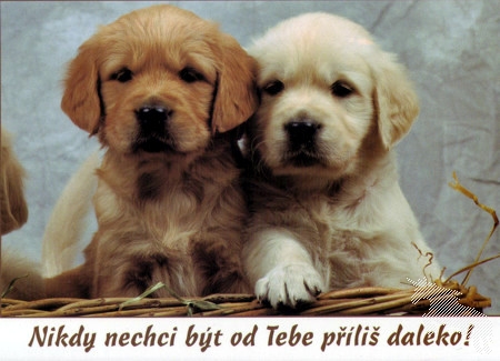 nikdy od tebe nechci byt daleko.jpg